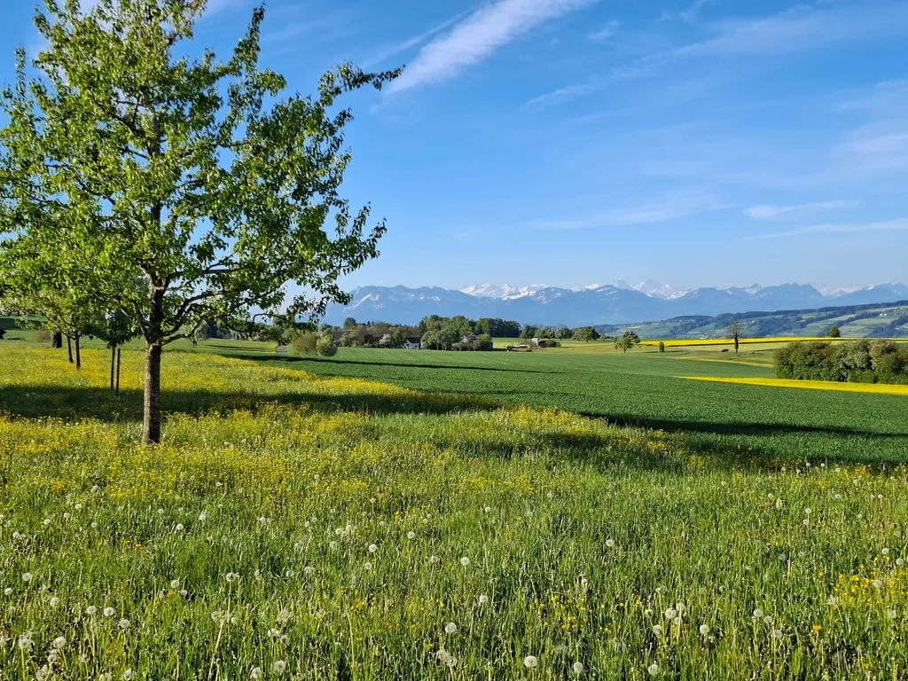 Natur pur: Bauernhof mit Panorama in Schongau LU