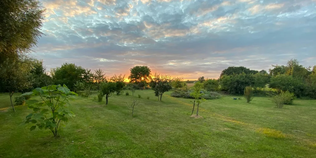 Streuobstwiese mit Sonnenuntergang