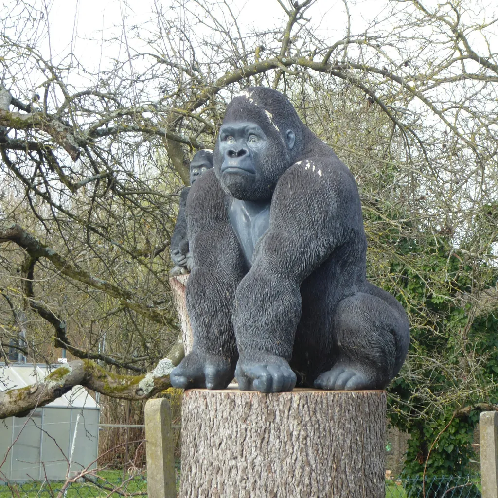 Profile picture of Peter