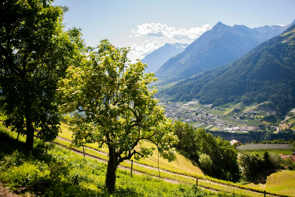 Stellplatz für Camper am Bauernhof