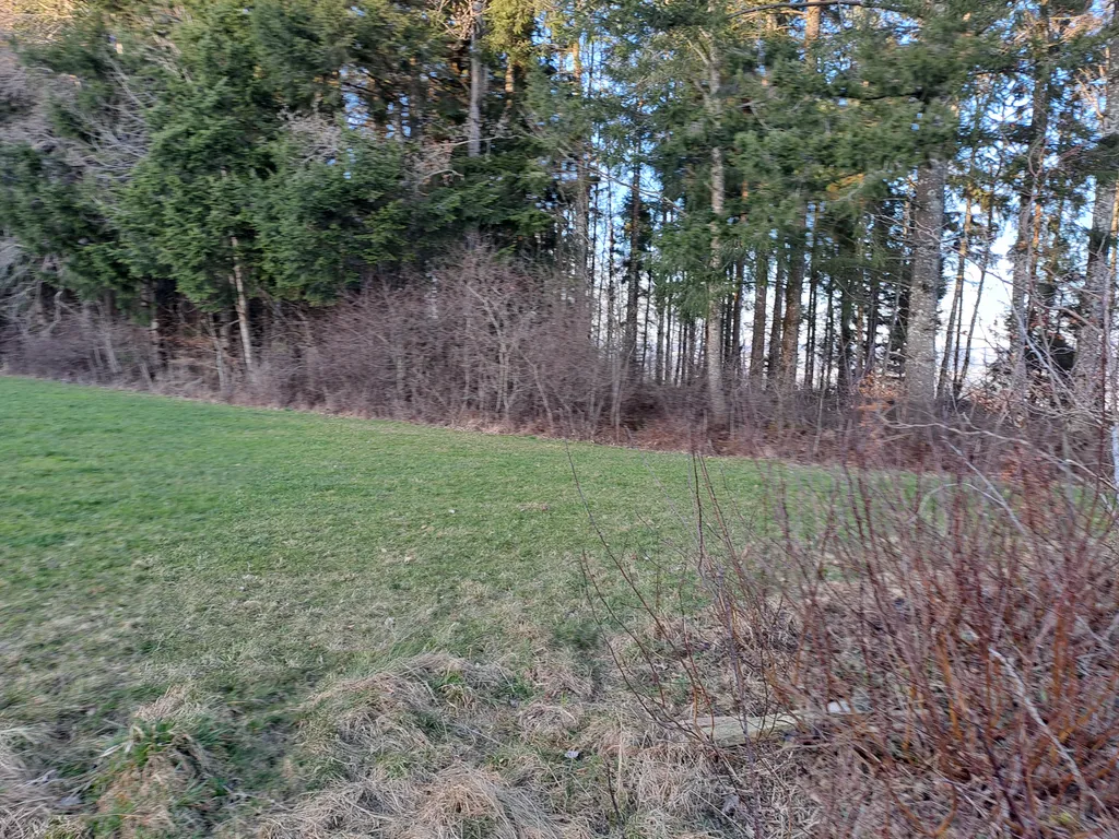 Wo sich Hase und Igel gute Nacht sagen