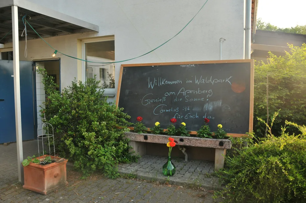 Holzhaus unter Buchen für mehr als 2