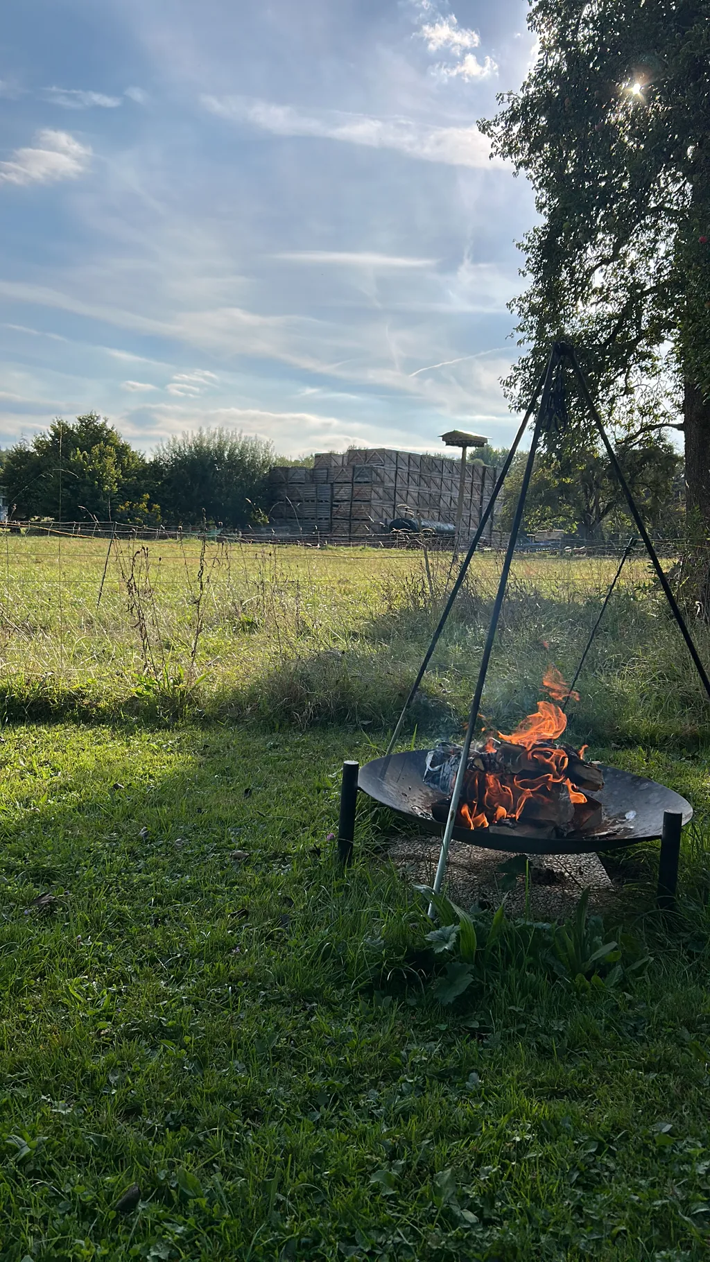 Bild von Sarah für den Spot 542