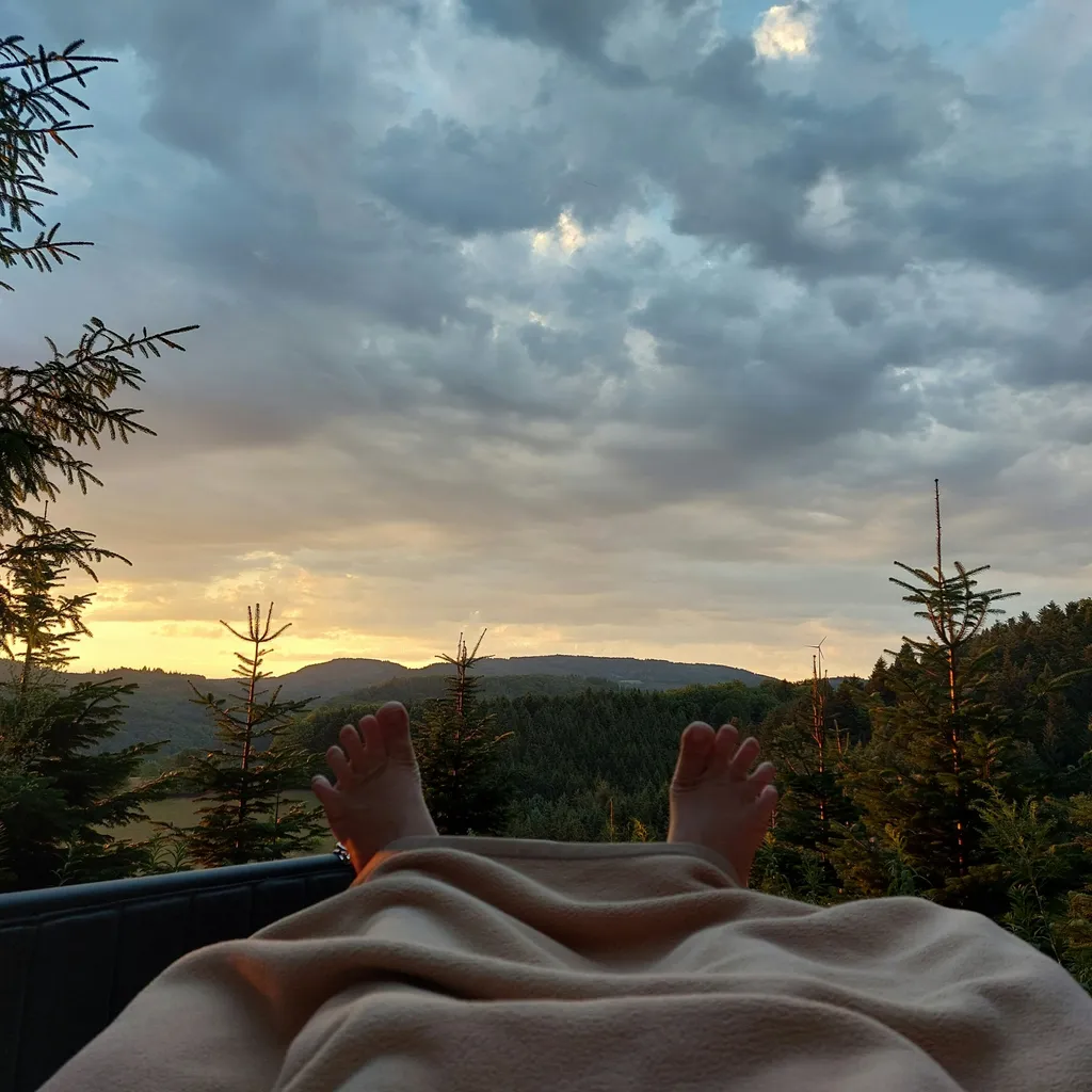 dein Blick am Morgen aus dem Bett in die Landschaft