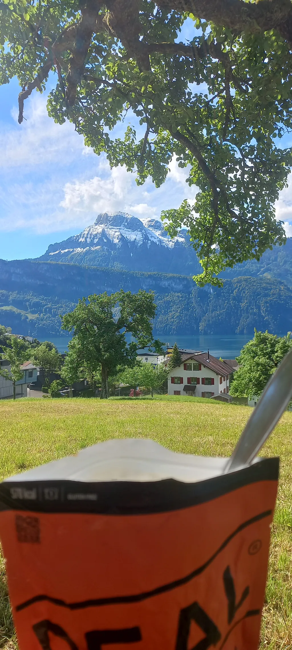 Bild von Merlin für den Spot 718