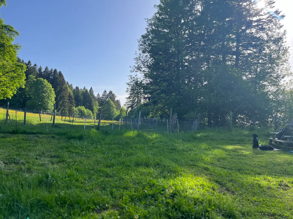 Bild von Evelyne für den Spot 56