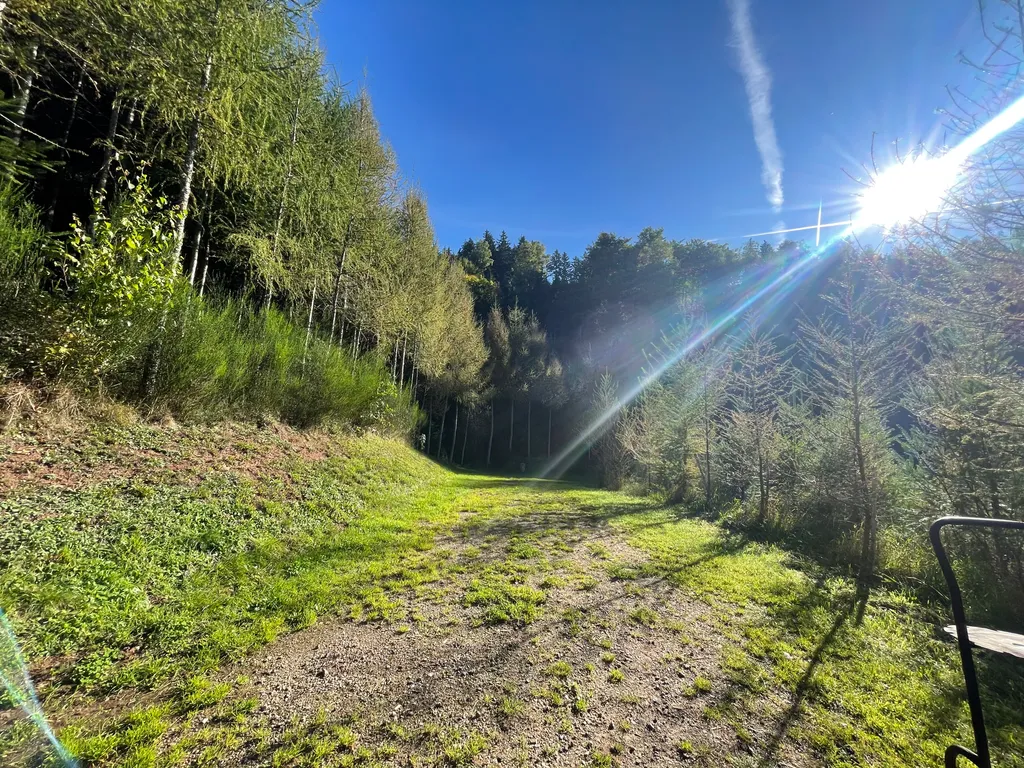 Bild von Sascha für den Spot 1557