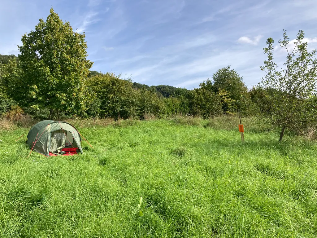 Wiesengrundstück im Remigiusland