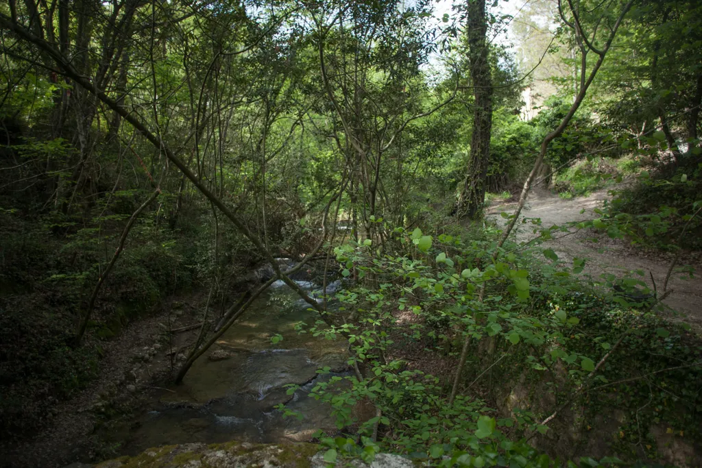 Bitte nach rechts oben gehen