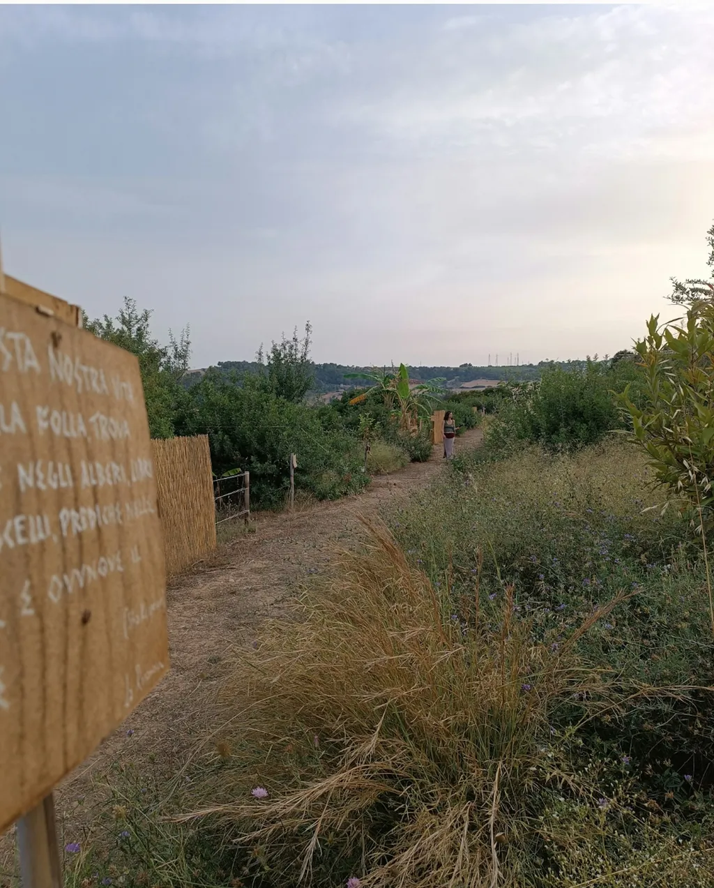 Campo con vista su mare