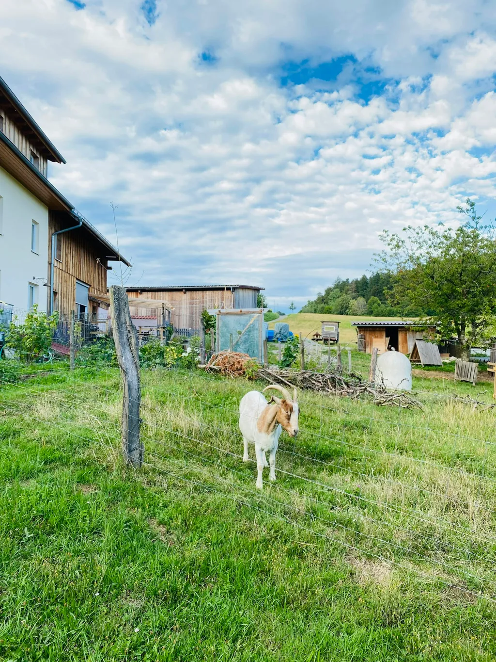 Hof-Plätzle auf der Höri