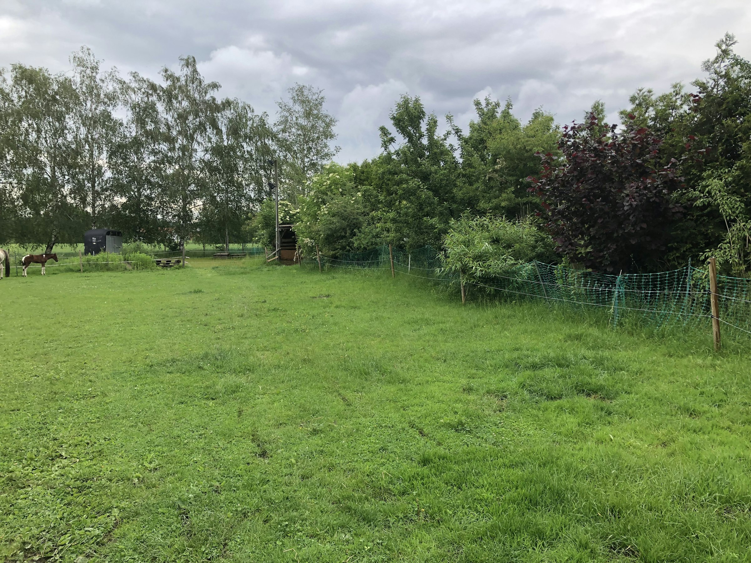 Schöner Platz, mit Pferden.