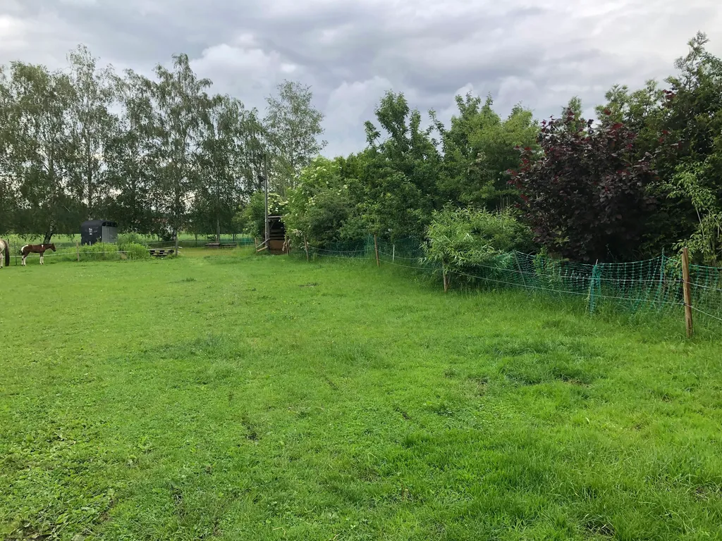 Schöner Platz, mit Pferden.