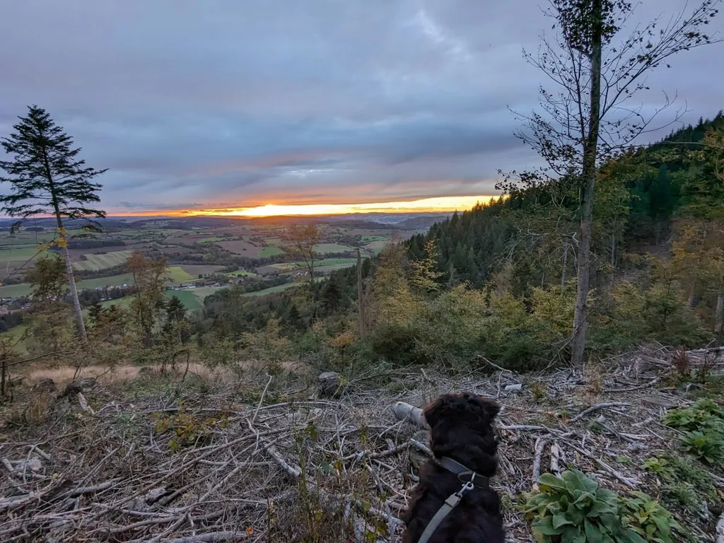 Stellplatz mit grandioser Aussicht