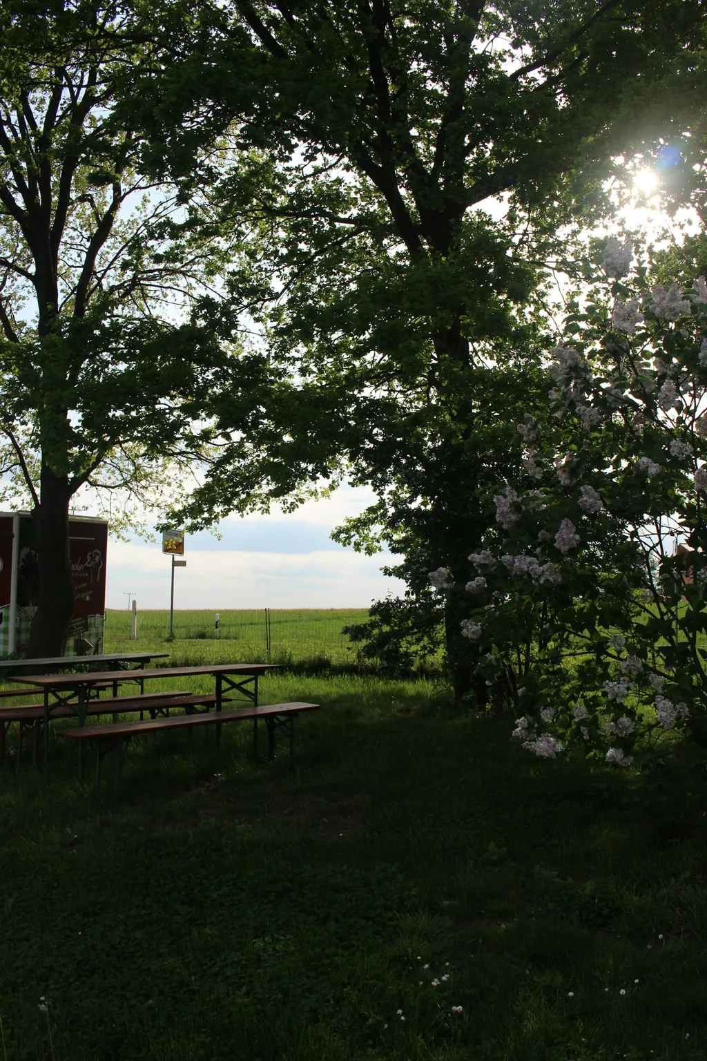 Camp auf der Straussenfarm/Lebenshof
