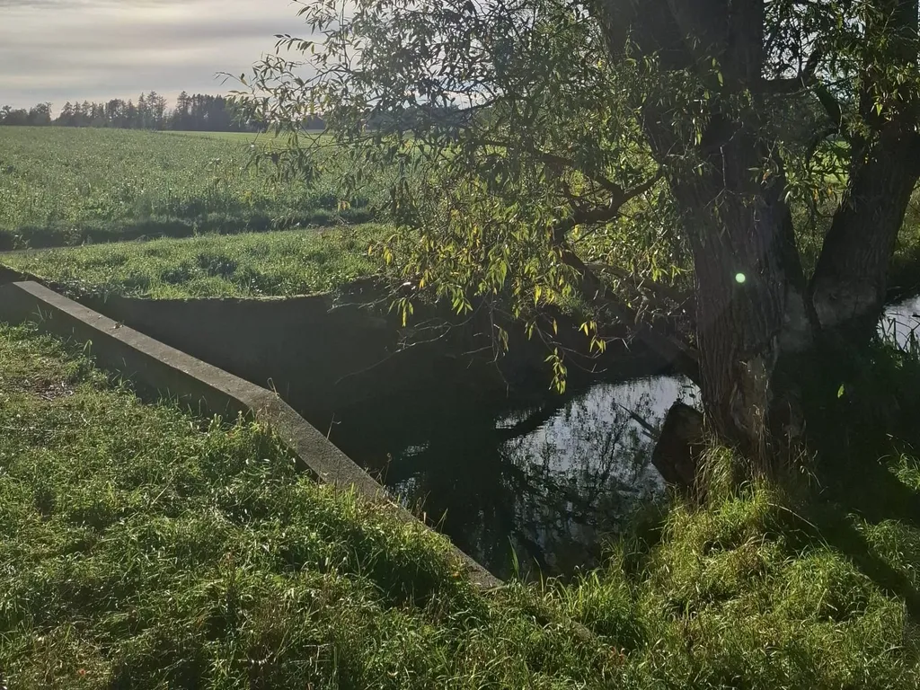 Naturcamping Oberfeld – Ruhe & Bergpanoramablick