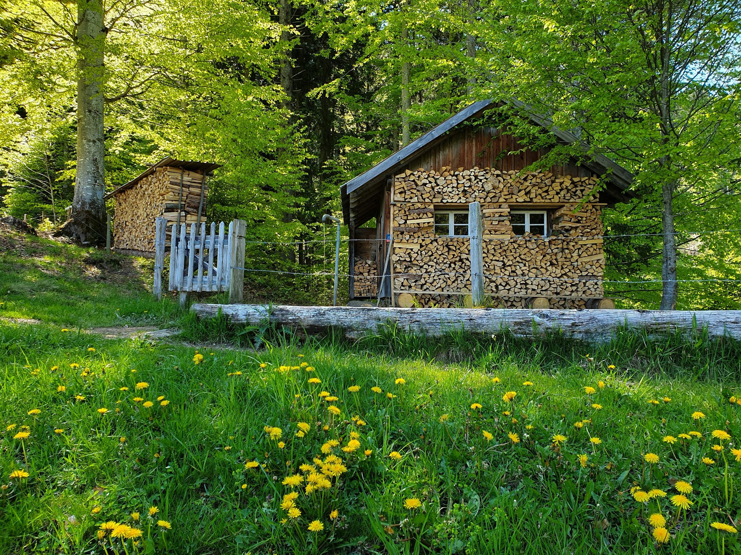 Camping bei der Jagdhütte