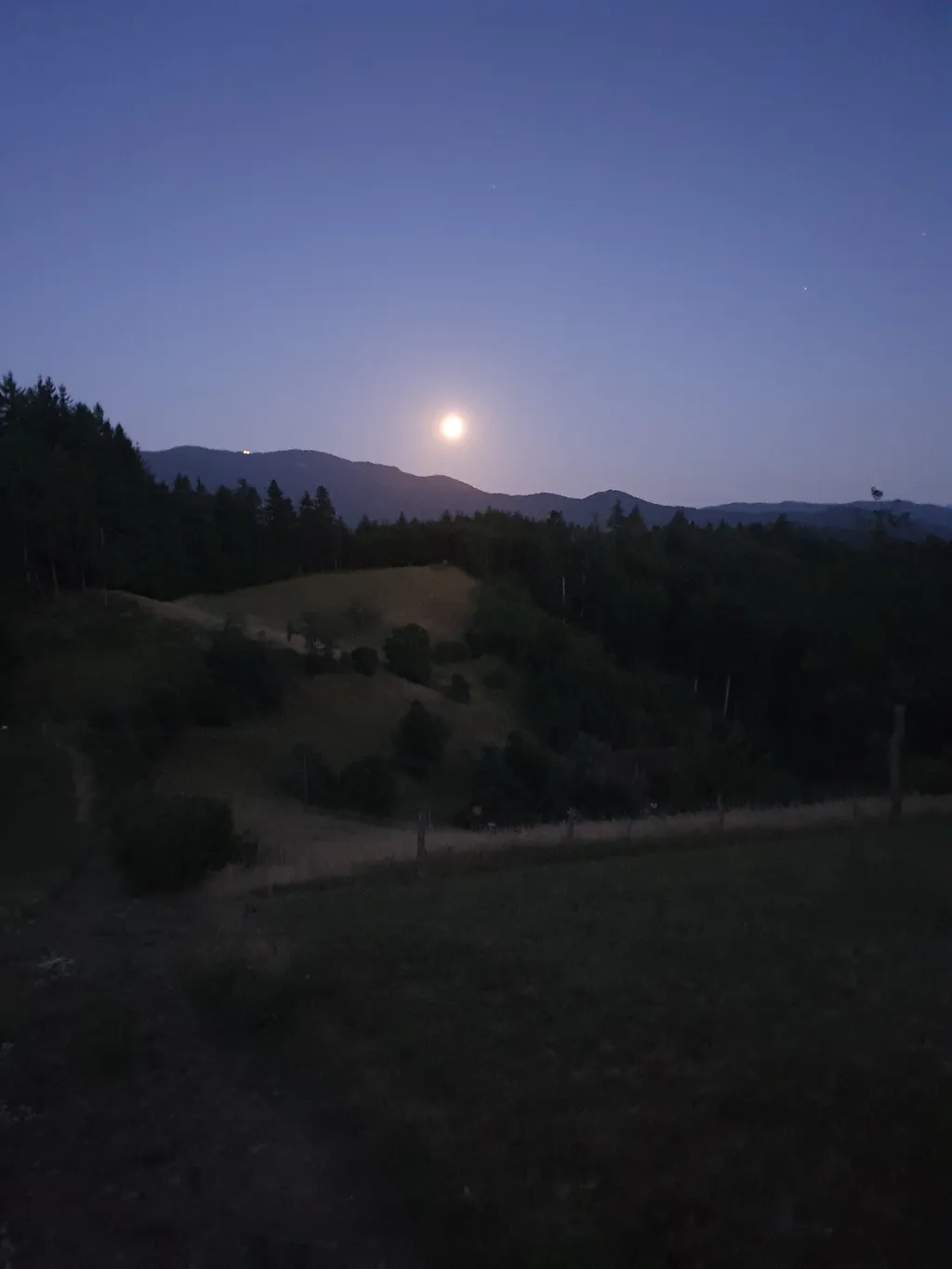 Bild von Tanja für den Spot 1620