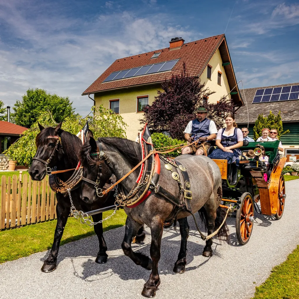 Pferdekutschenfahrt