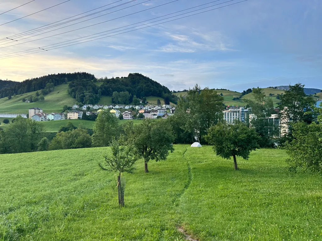 Bild von Cornelia für den Spot 238