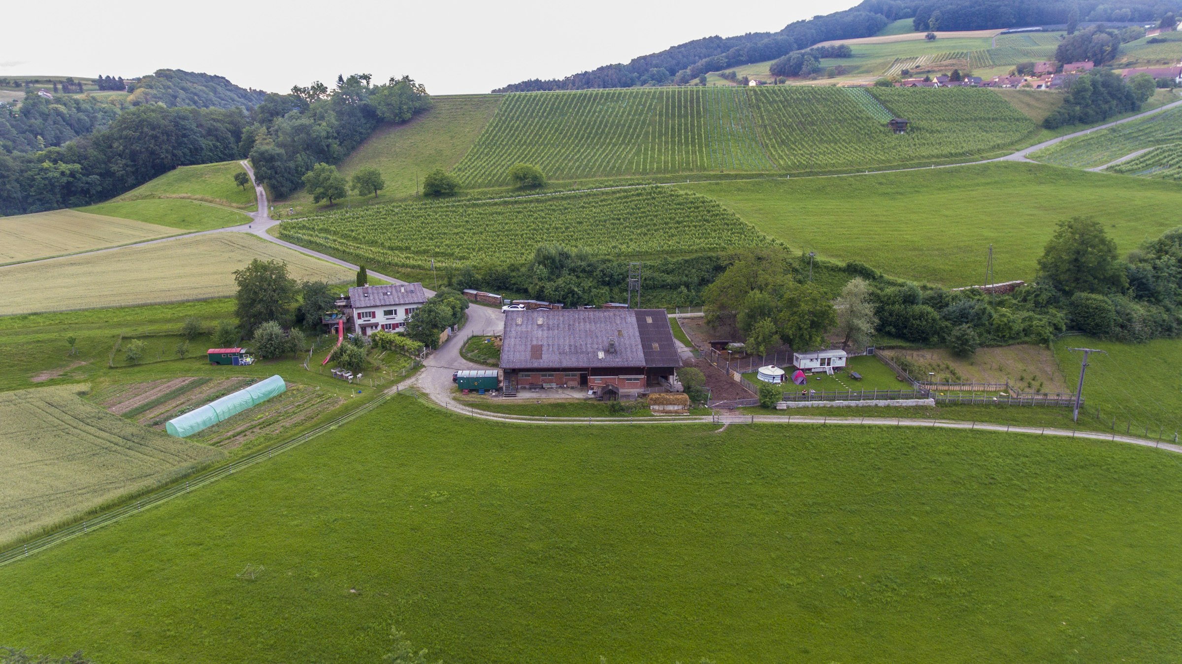 Hof Wyden zwischen Töss und Rhein