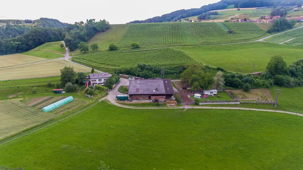 Hof Wyden zwischen Töss und Rhein