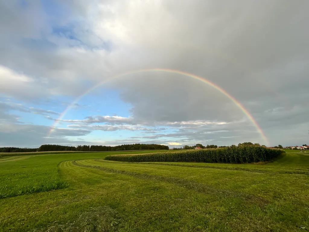 Bild von Alexander & Wiebke für den Spot 1461