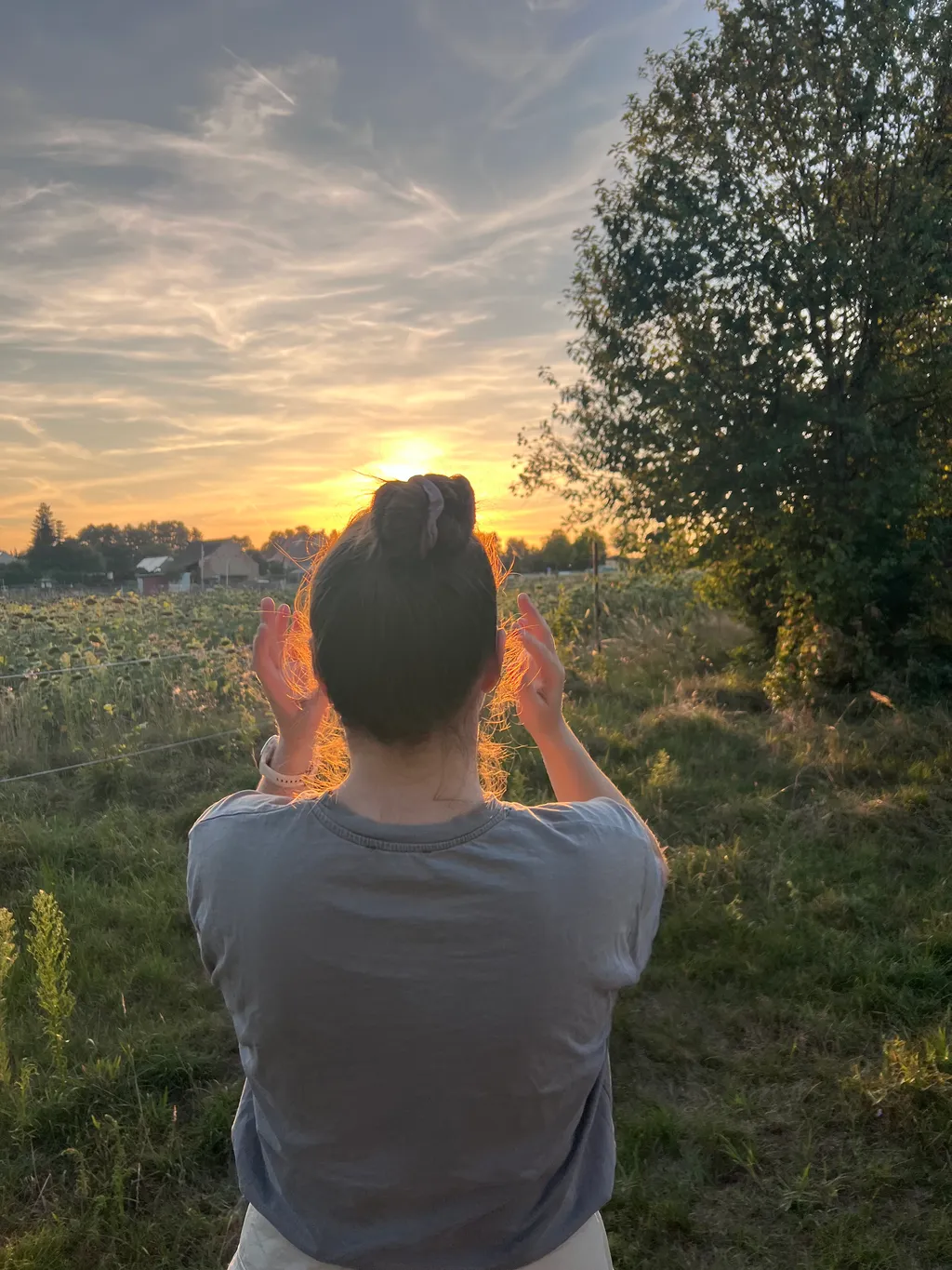 Bild von Roman für den Spot 2937