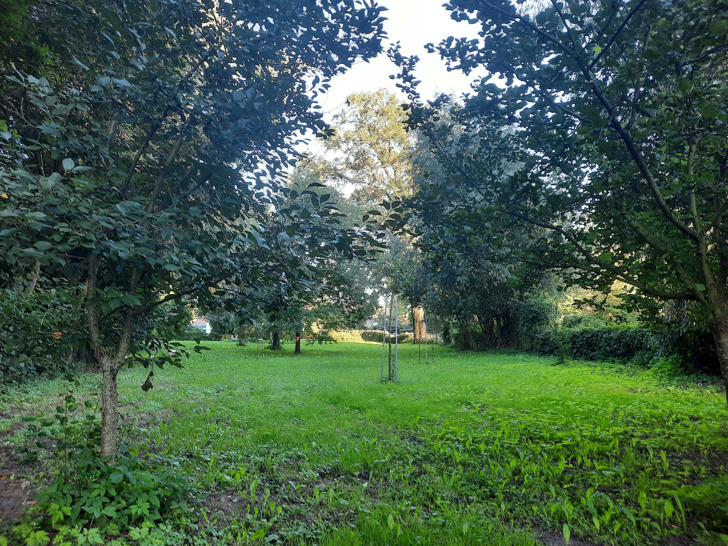 Zeltwiese an der Fläming Skate