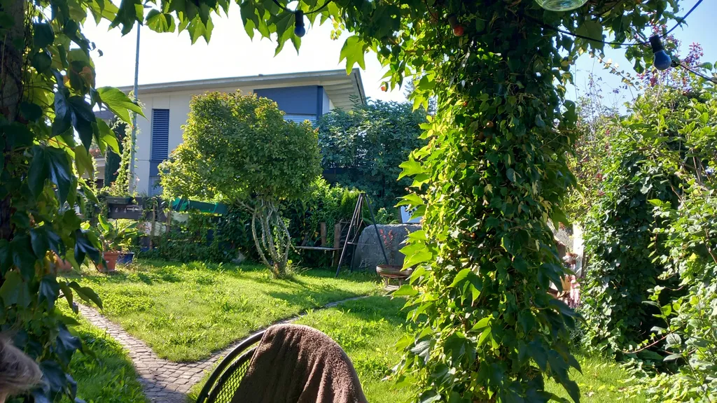 Bild von Roger für den Spot 3947