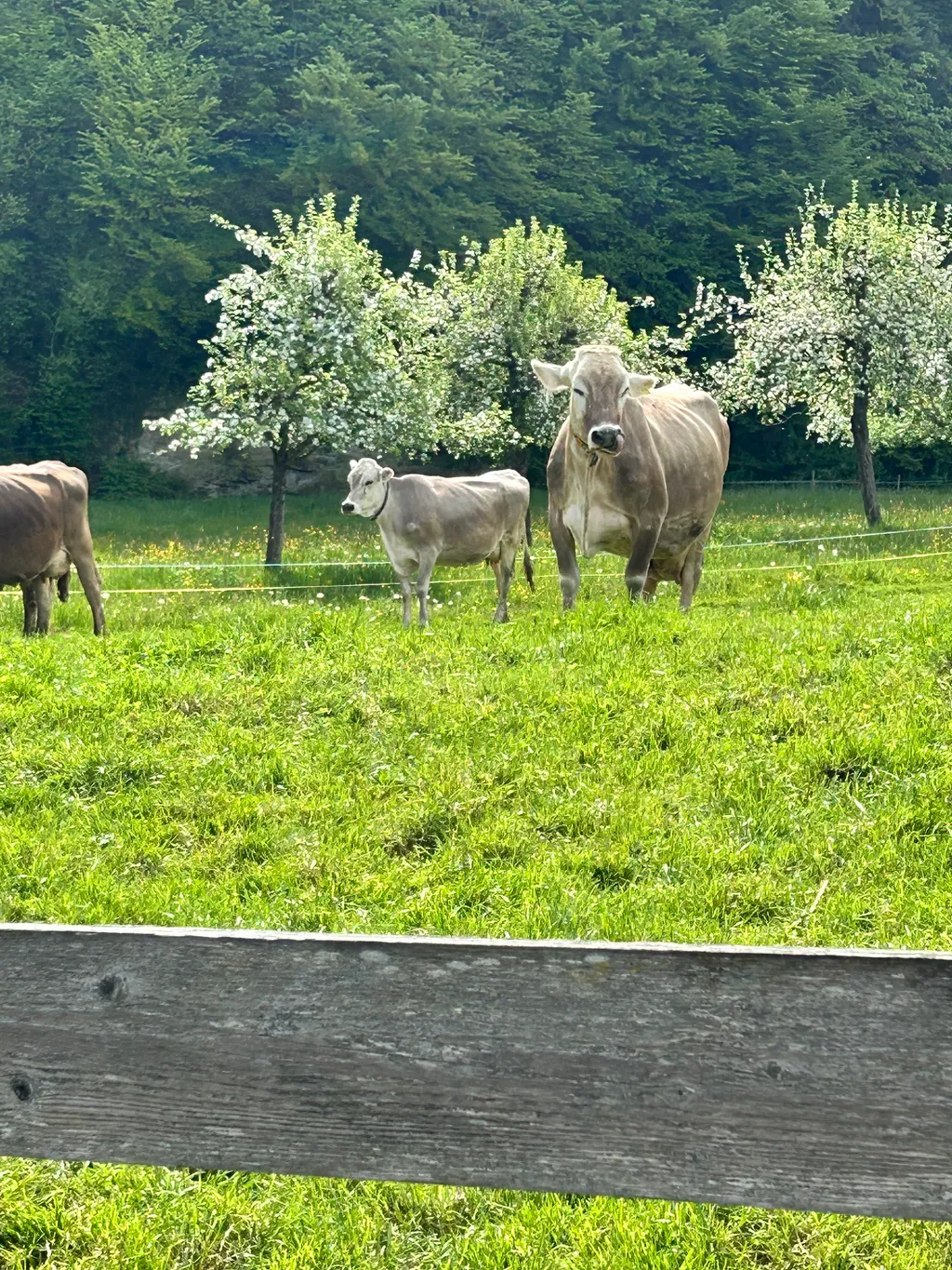 Bild von Emanuele für den Spot 351
