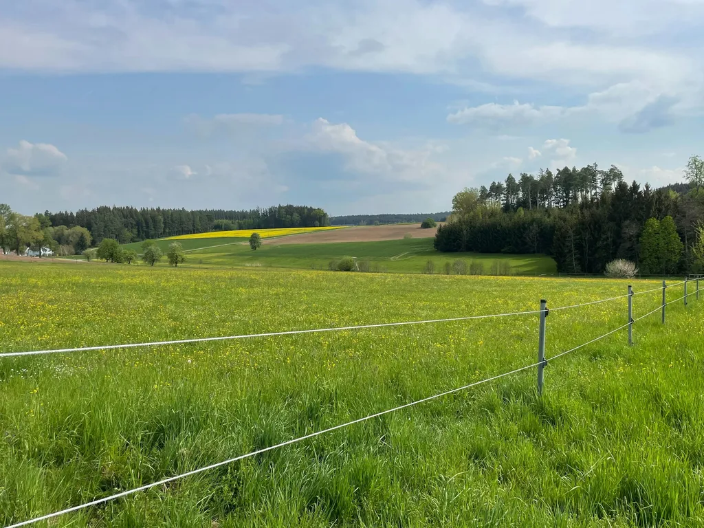 Natur pur – mit wundervollem Ausblick