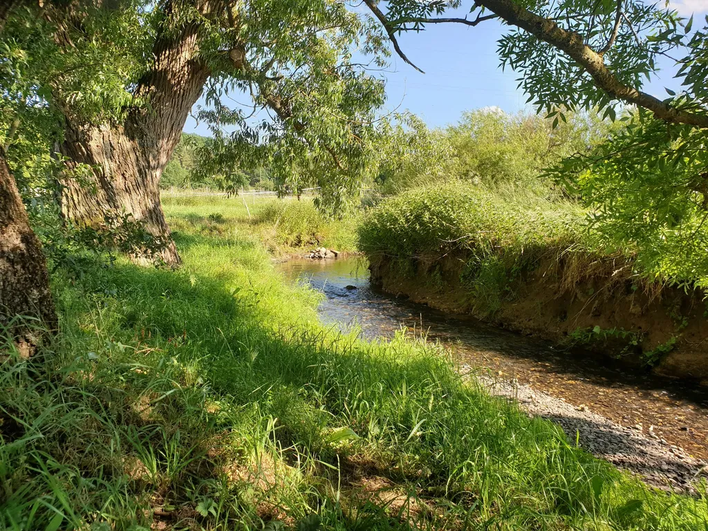 Schöne Wiese an zwei kleinen Bächen
