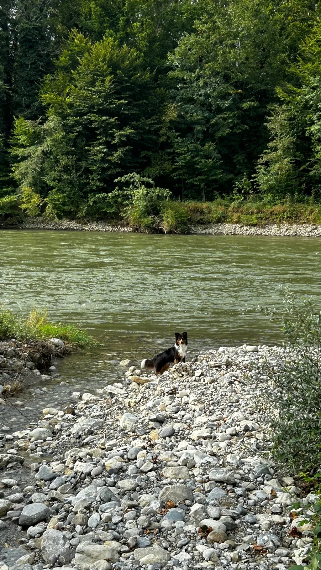 Bild von Sarah für den Spot 542