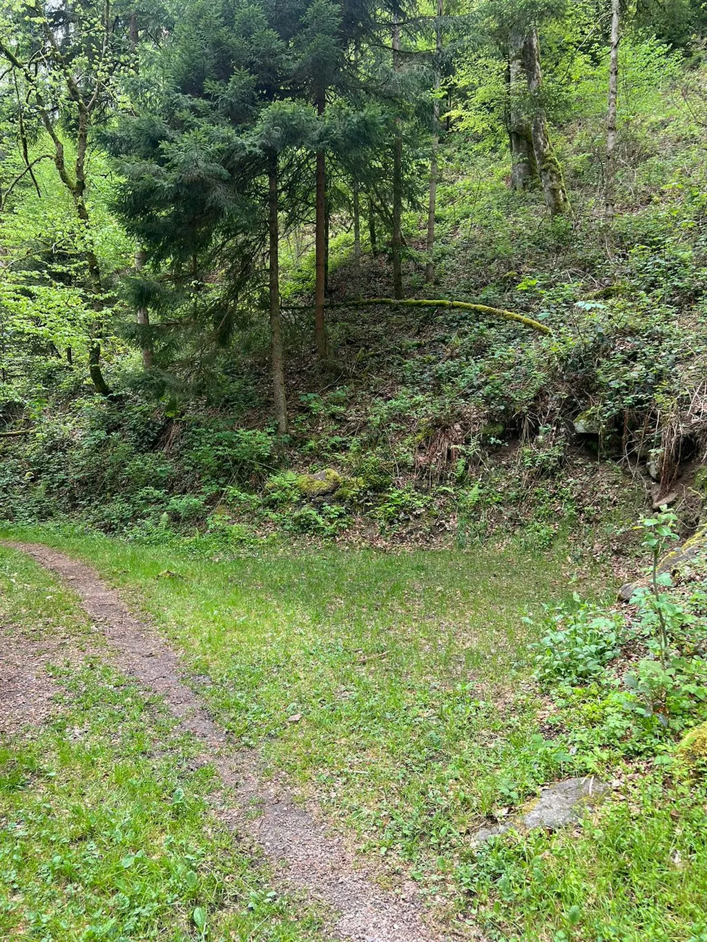 One-Night-Camp Höllbach