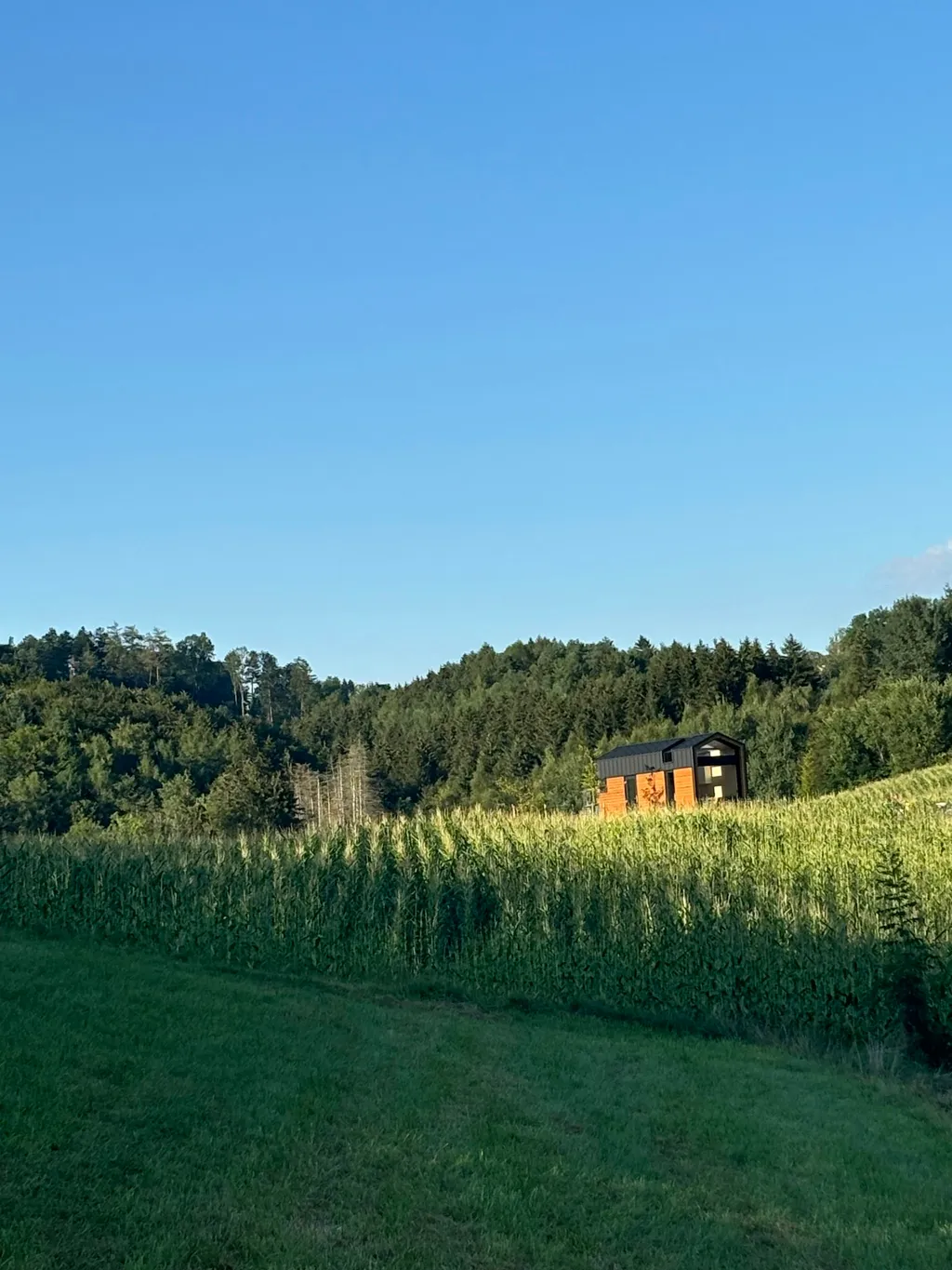 Hildegrunder Zu Hause im Freien