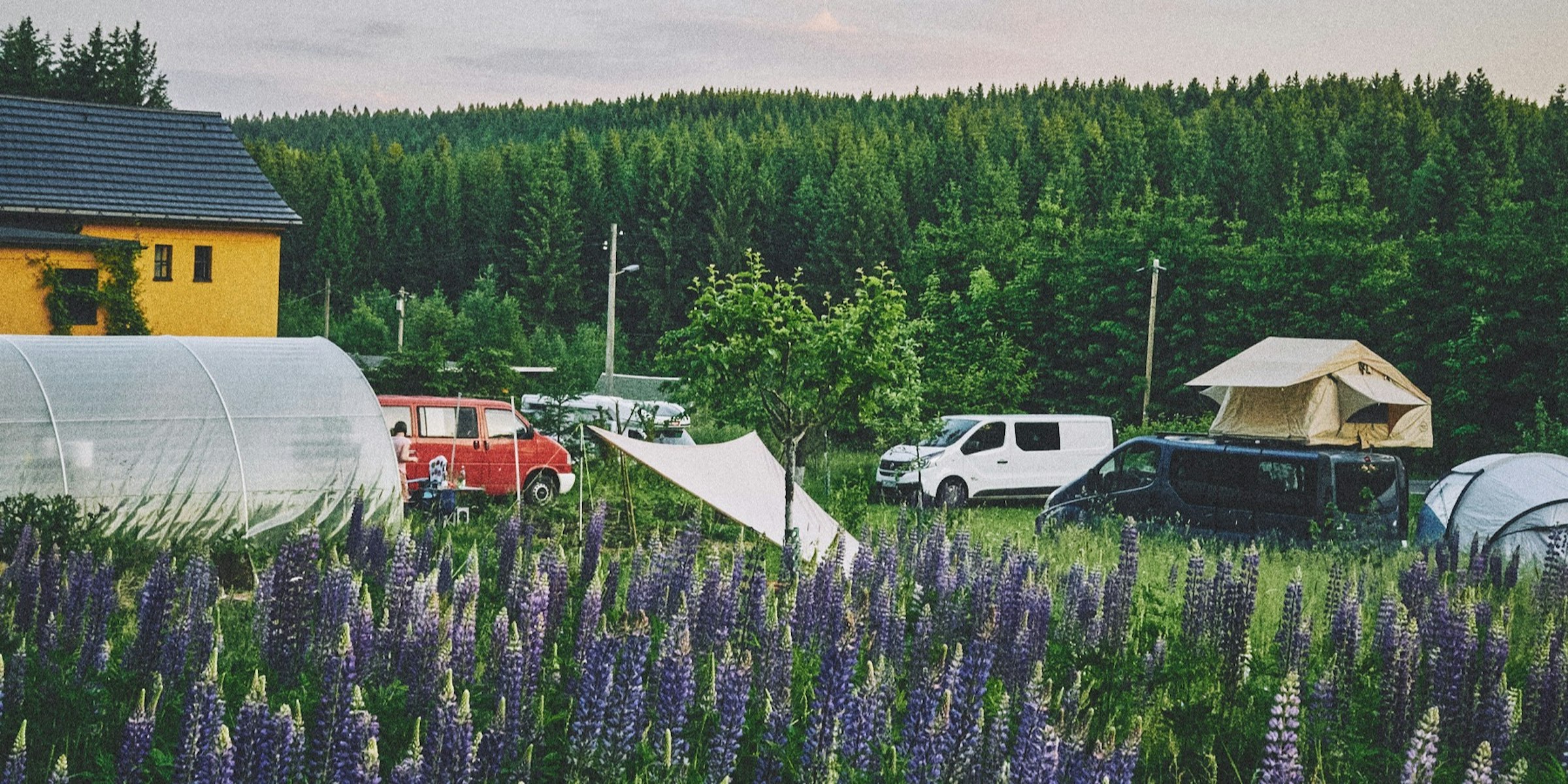 Blick ins Freie Stellplatz