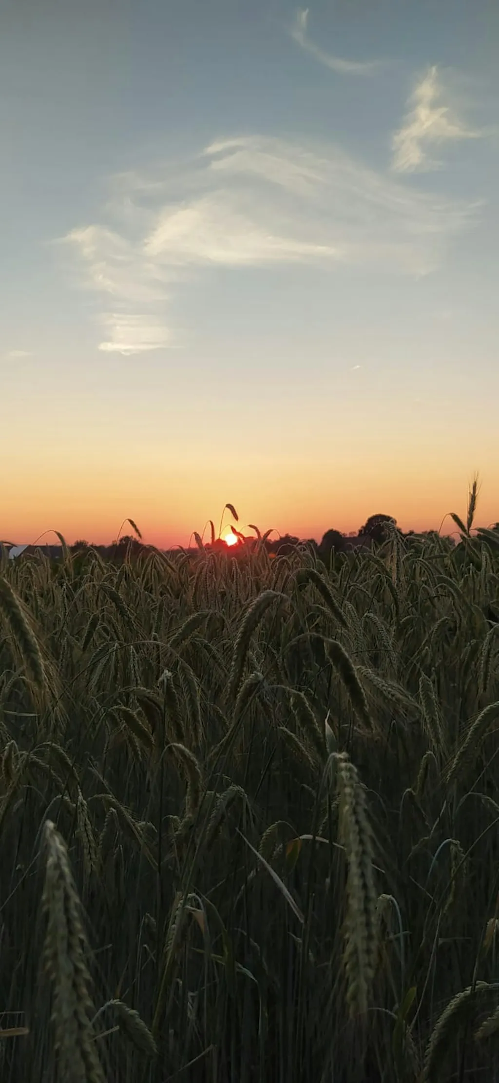 Camping auf Hof Kunterbunt
