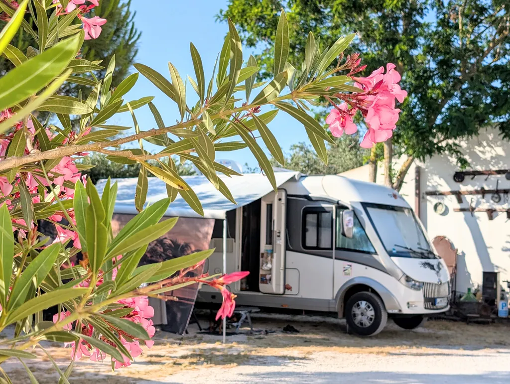 Lilybeo Village - Camping & Residence