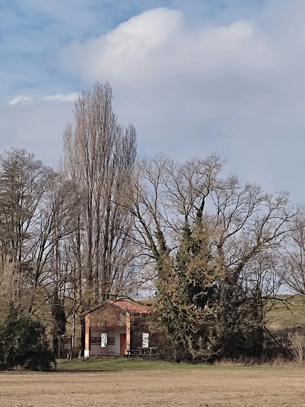 Fiume Po, natura e città d'arte