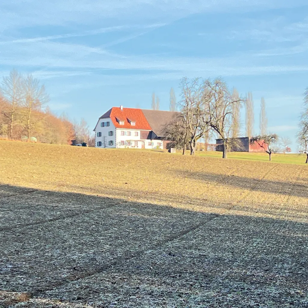 Christine & Felix avatar