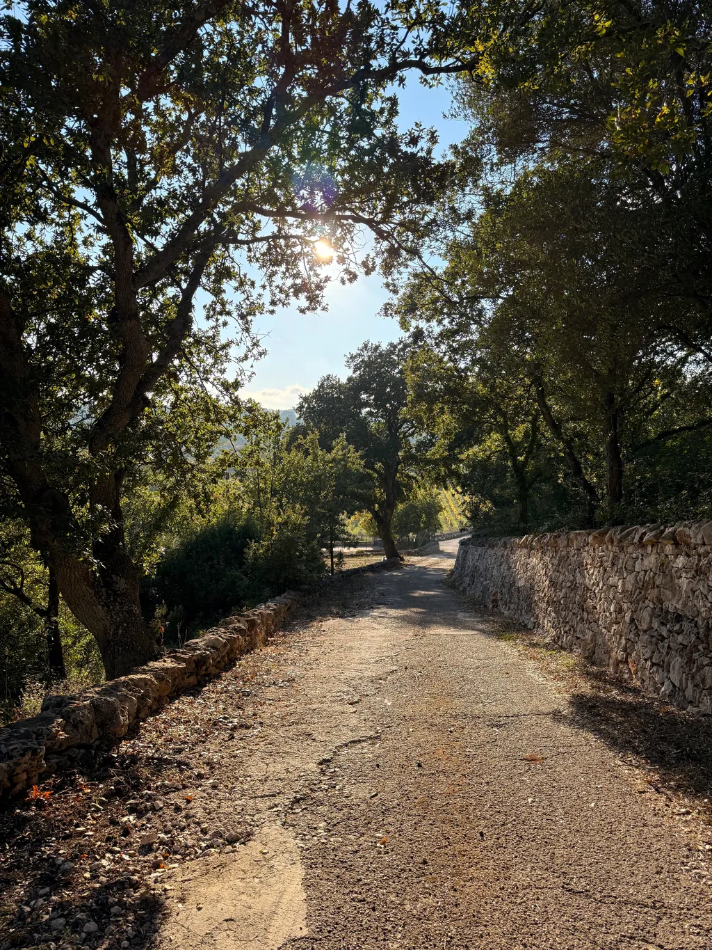 Bild von Kira für den Spot 1040