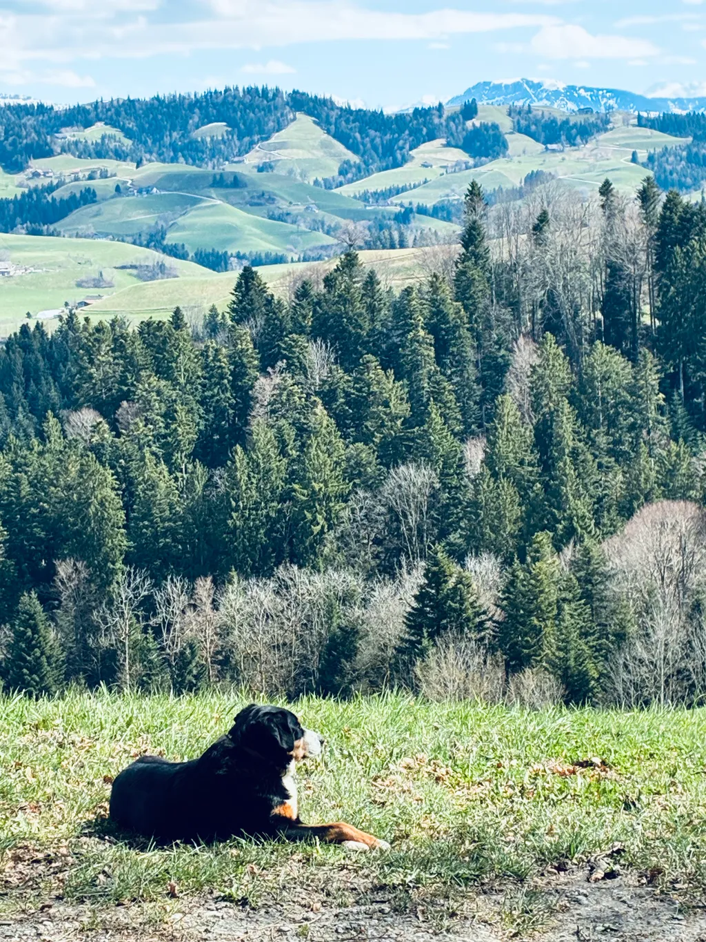 Bild von Pawel für den Spot 378