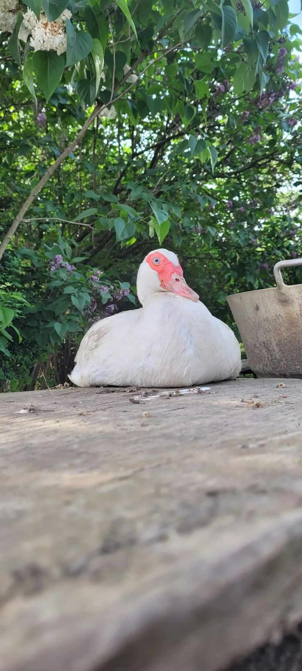 Gnaden-Begegnungshof Sandlerranch