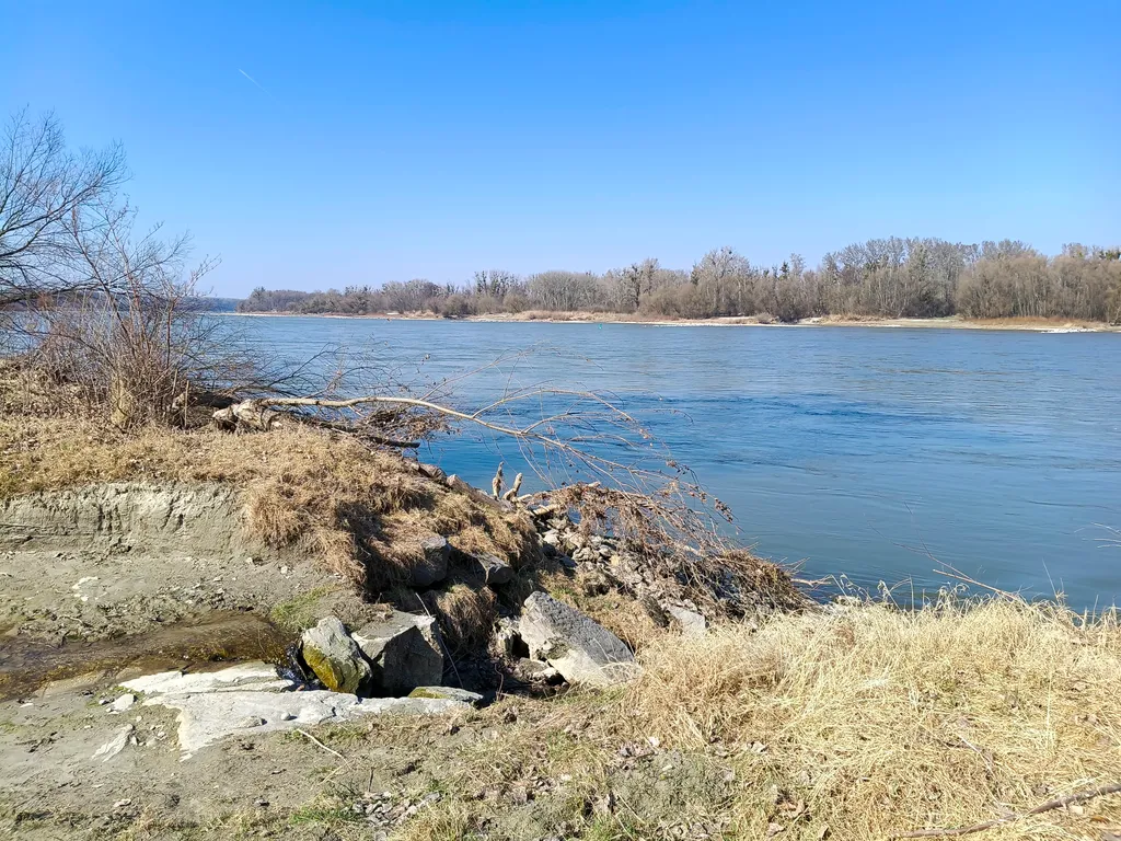 Donaublick