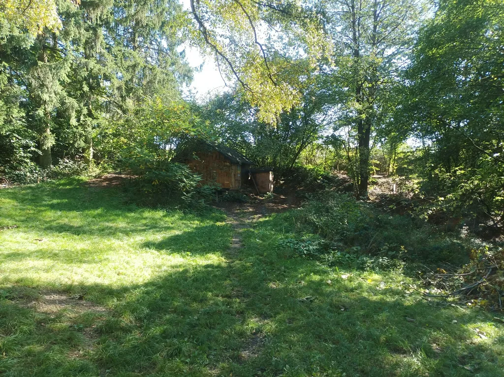 Holzhütte mit 3000m² Waldgrundstück