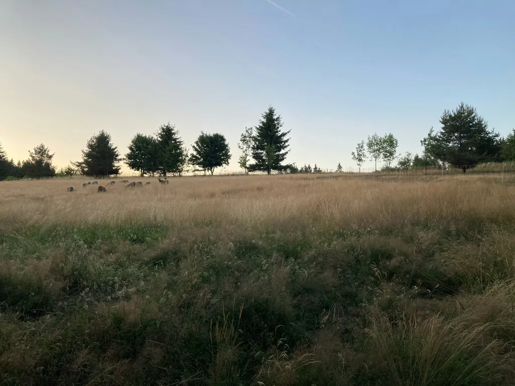 Auf der Alm im Frankenwald