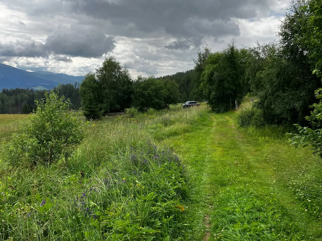 Sonniger Stellplatz im Zirbenland
