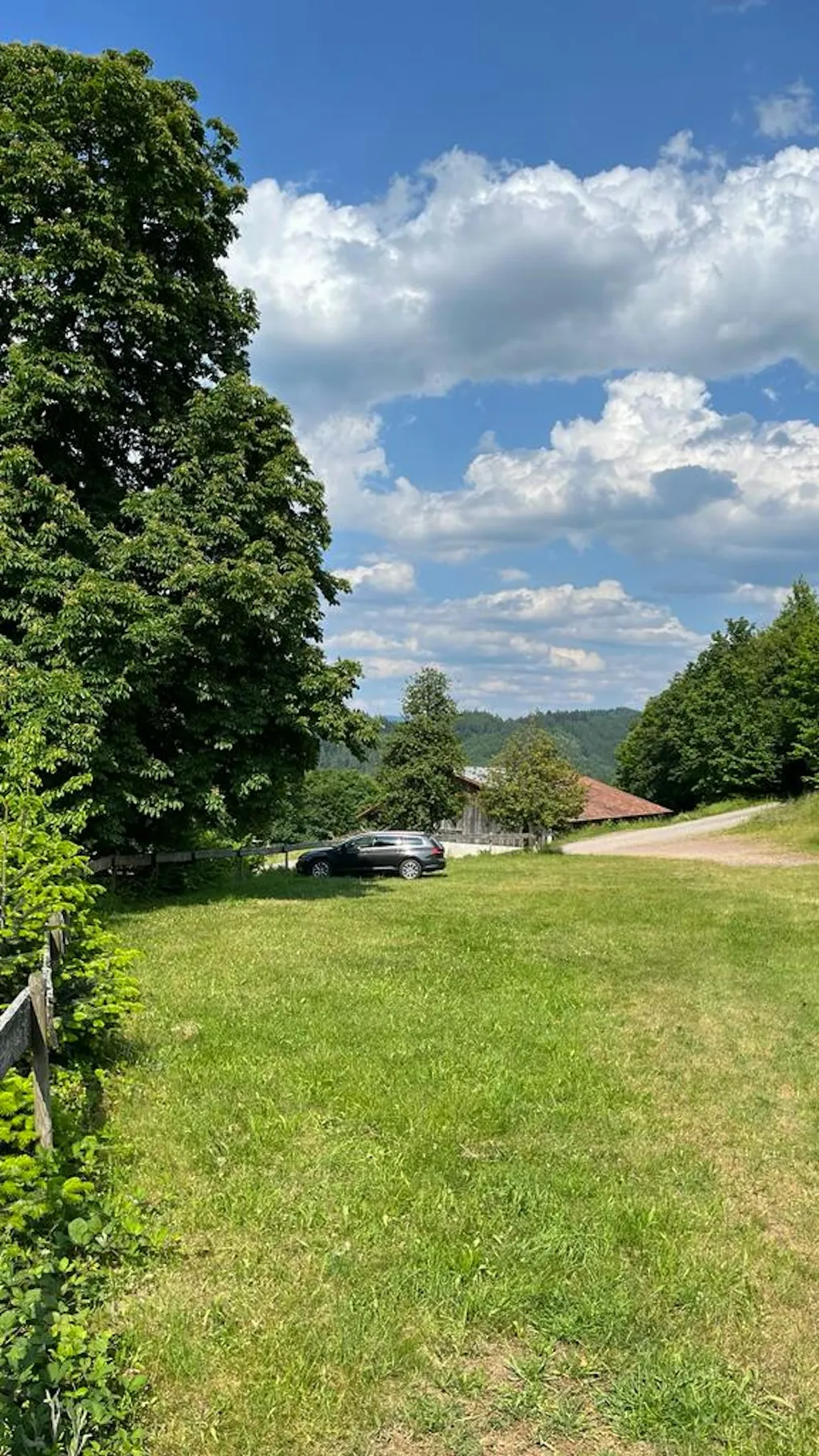 Stellplatz auf der sonnigen Wiese