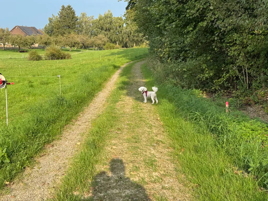 Bild von Evelyn für den Spot 77